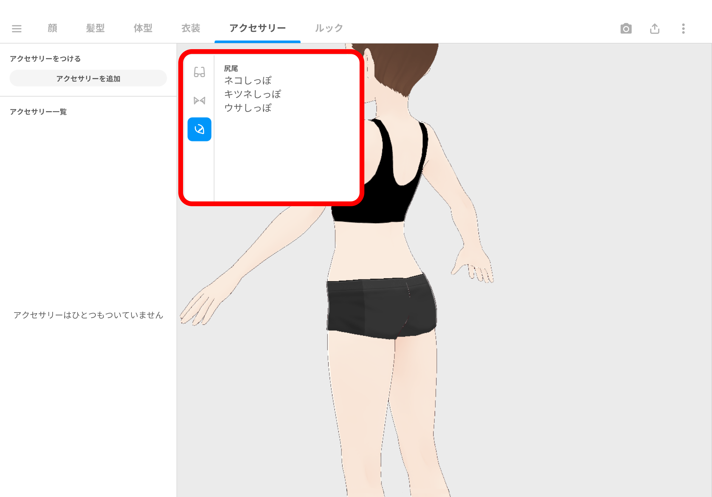 新アクセサリー_jp.png